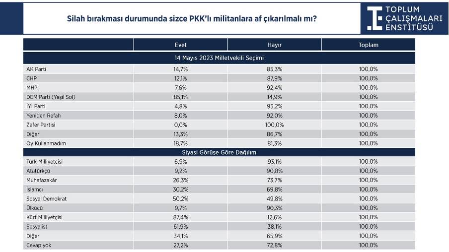 Milliyetçilik ve çözüm süreci araştırması: Seçmene af, Öcalan ve Demirtaş soruları 11